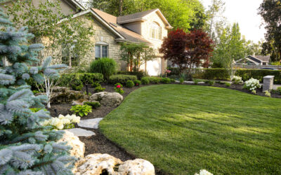 Why Our Spring Schedule Fills Up So Early