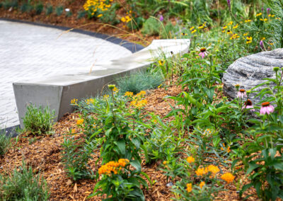 Garden bed with mulch and vibrant orange flowers