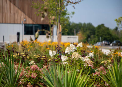 Porsche Experience Centre Toronto garden bed
