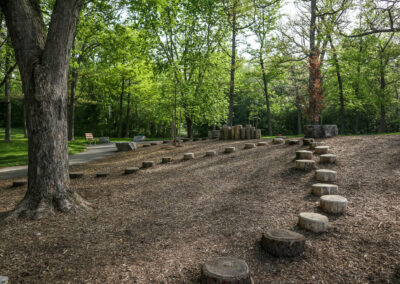 Green Space with Trees and stumps at Mohawk Park in Brantford