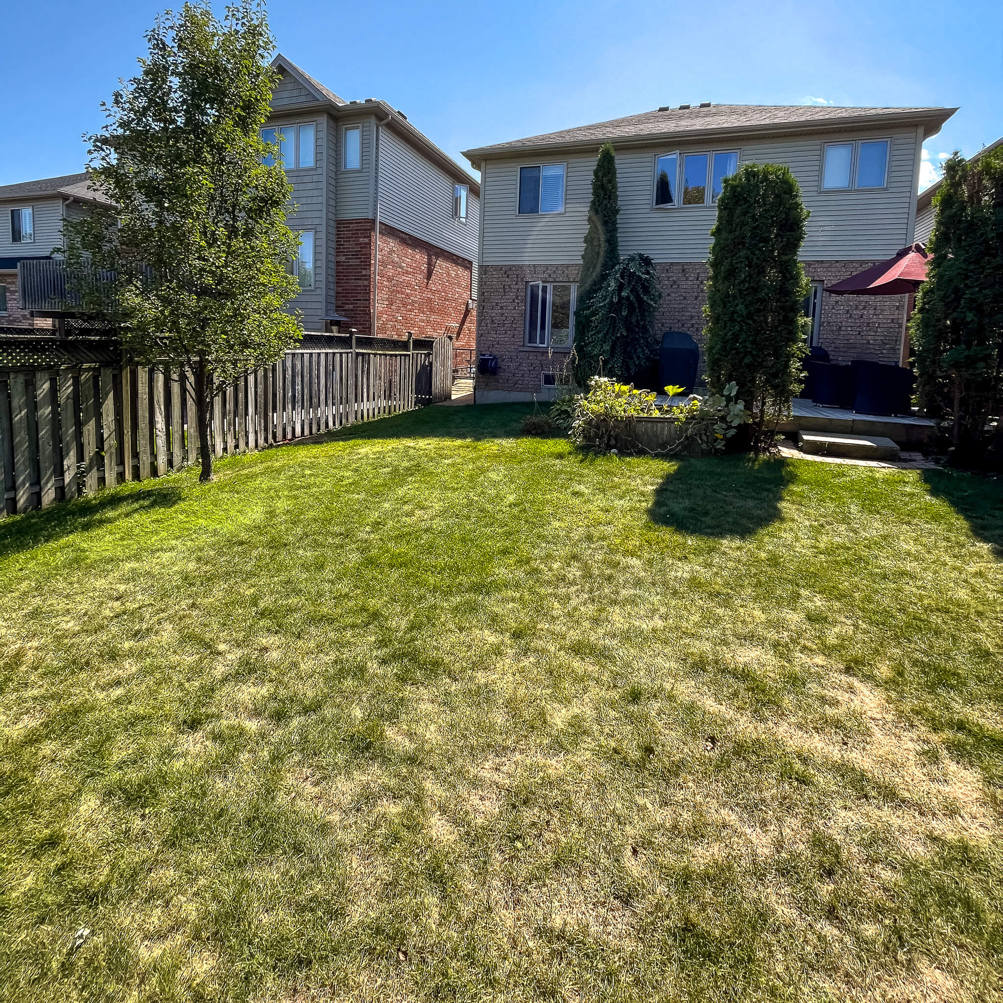Backyard lawn area before construction, showing existing grass, small deck, and limited outdoor living space prior to multi-level patio installation