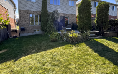 Project: Multi-Level Patio