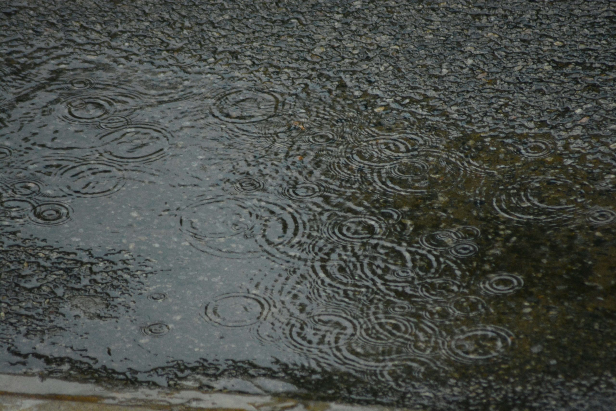 Rain forming puddles on the driveway