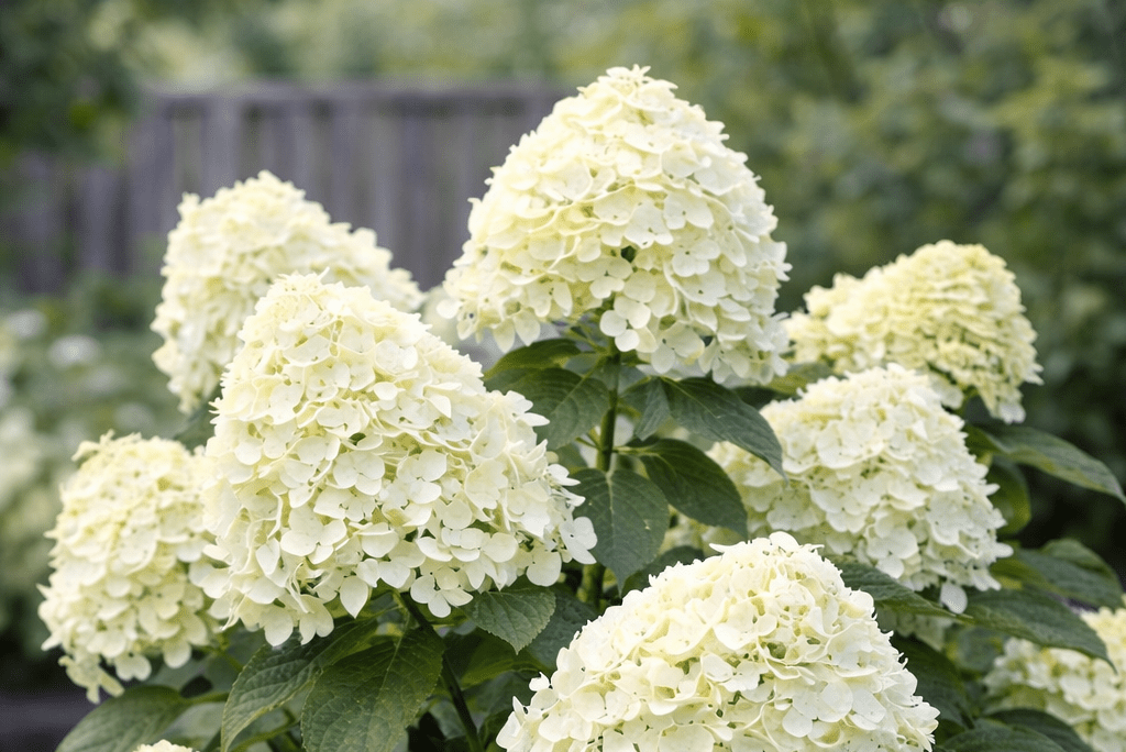 While often chosen for visual impact, certain varieties also provide value to insects.